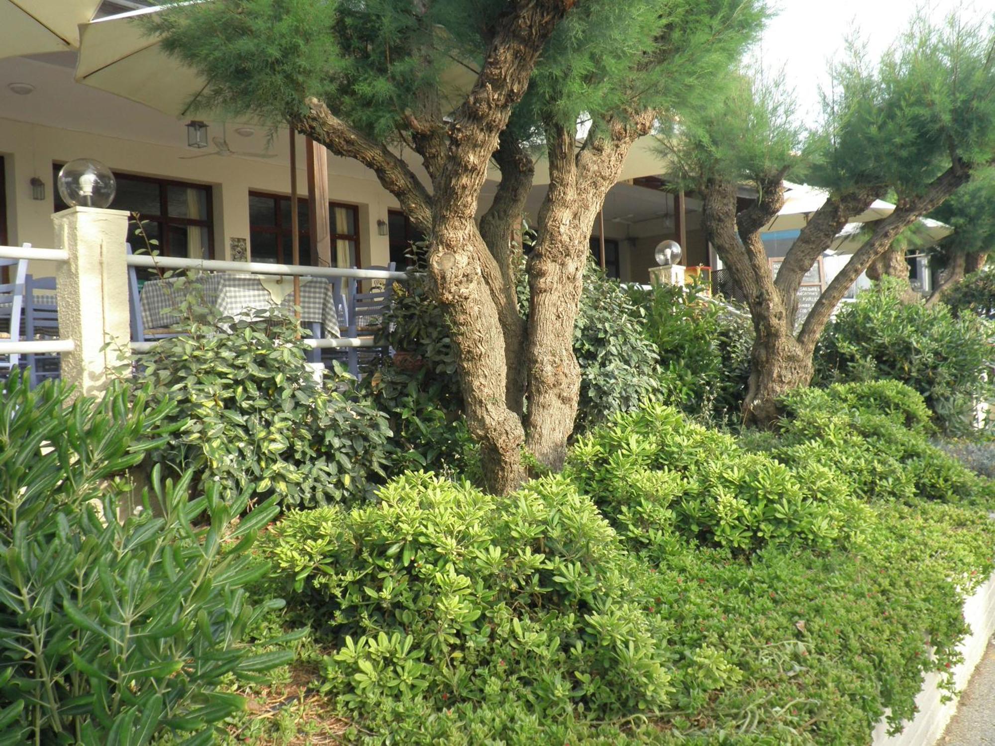 Akrogiali Kyparissia Exteriör bild