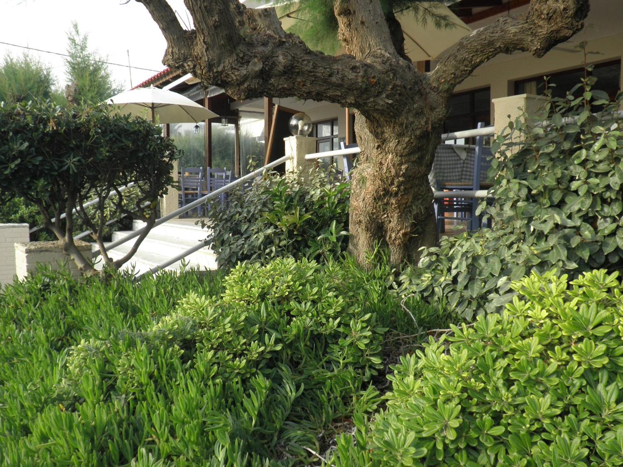 Akrogiali Kyparissia Exteriör bild